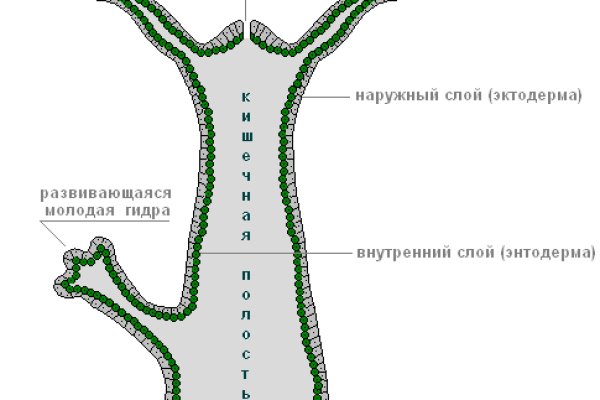 Правила модераторов кракен площадка