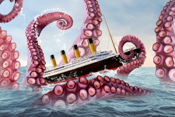 Kraken official